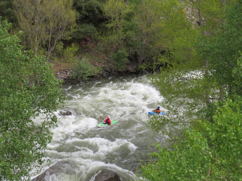 Kanoën in de rivier