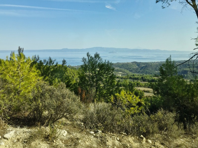 Het groene landschap van Kassandra, tijdens onze Jeep Safari