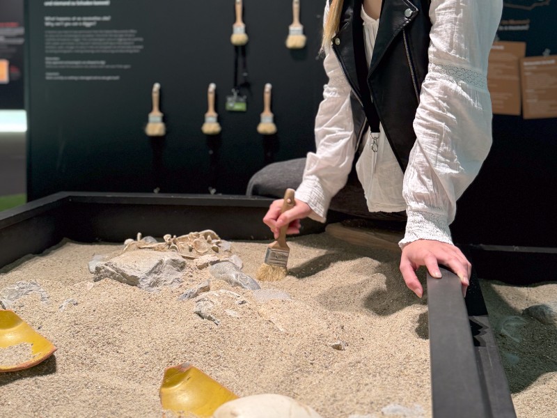 Fossielen uitgraven in het Keltenmuseum in Hallein