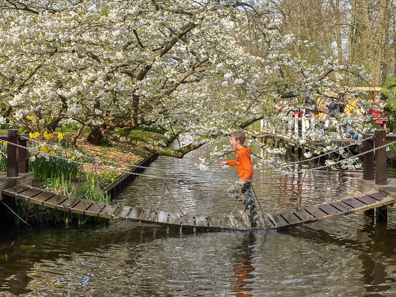 Deze hangbrug vonden de kinderen ook geweldig in de Keukenhof