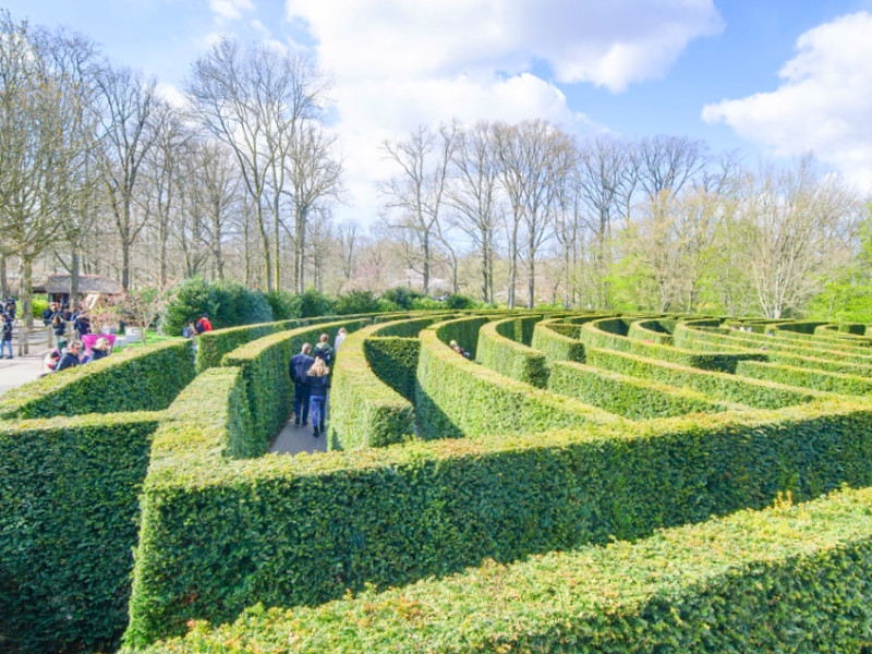 Vind hier de uitgang maar eens. Doolhof Keukenhof