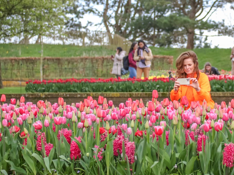 Elisabeth maakt een foto van de tulpen in Keukenhof
