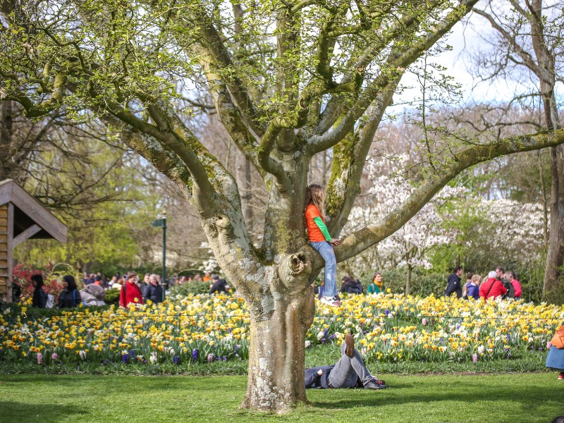 Chillen in de keukenhof
