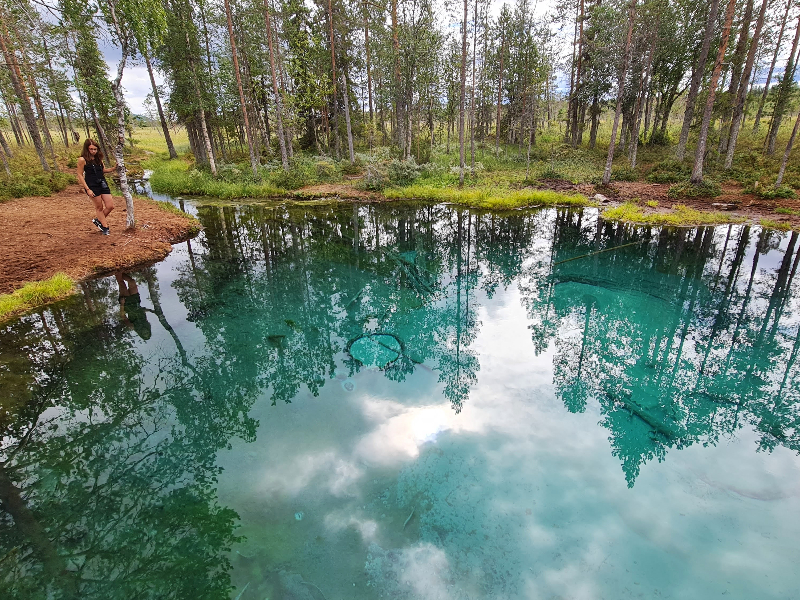 De kikkerbron die reporter Kim bezocht met haar kinderen tijdens een zomervakantie in Zweeds Lapland