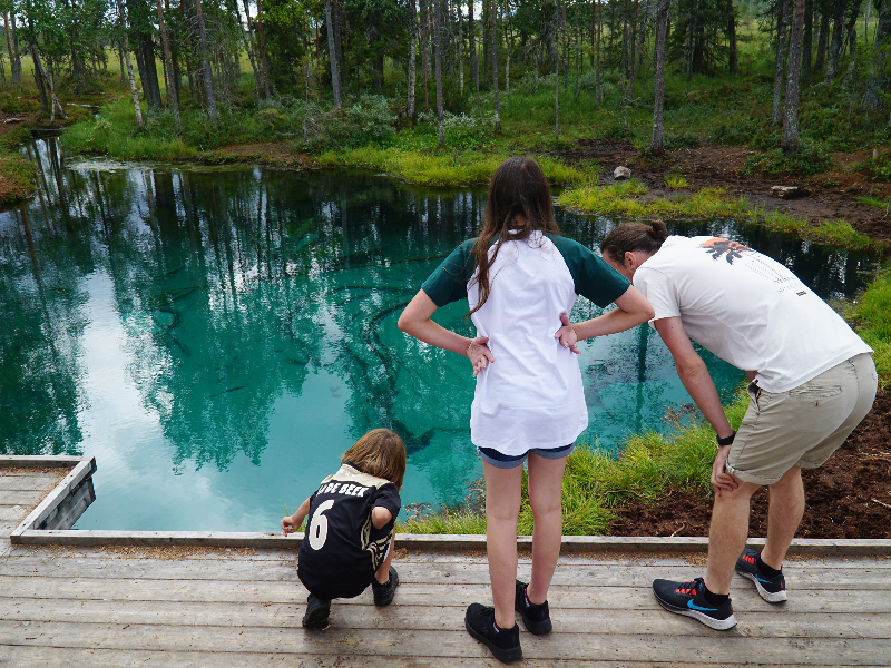 Het ongelooflijk blauwe water van de Kikkerbron in Zweeds Lapland