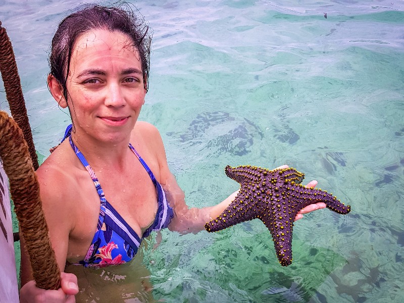 Enorme zeesterren voor de kust van Zanzibar