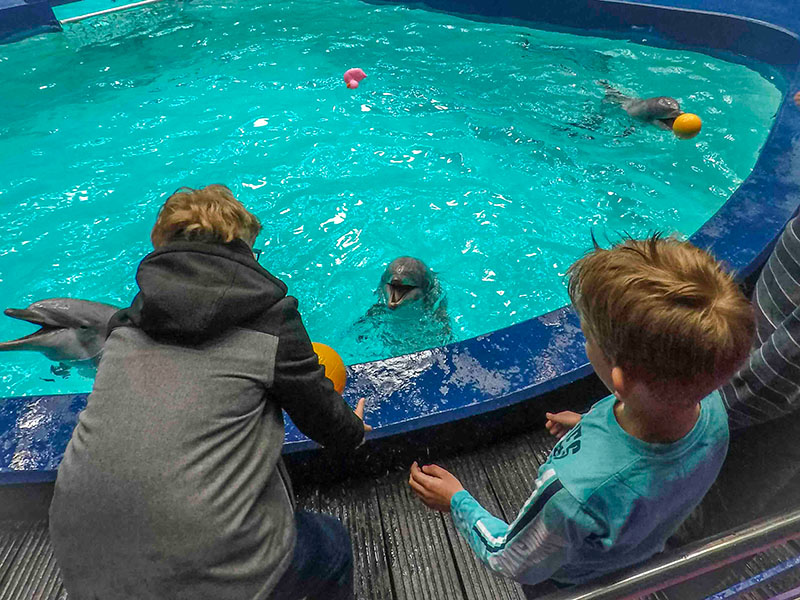 Kinderen hebben de grootste pret met de Dolfijn!