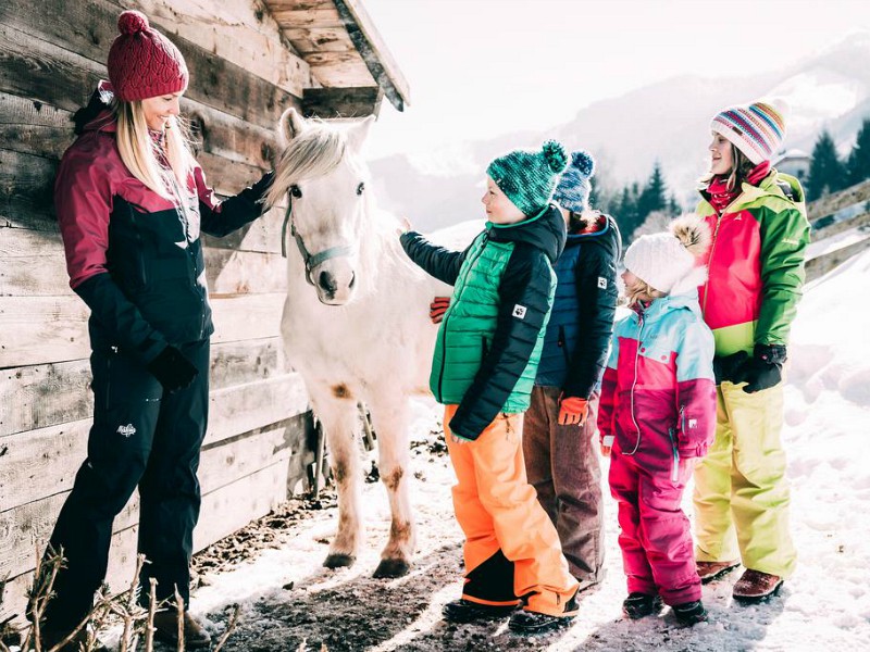 Miniboerderij bij kinderhotel Stegerhof in Steiermark