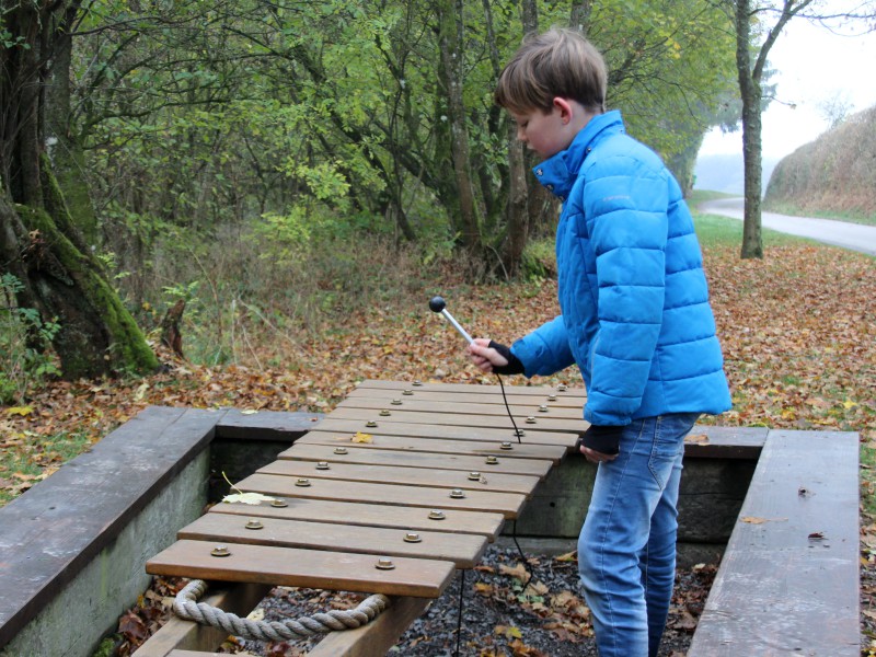 Sven bespeelt onderweg een xylofoon