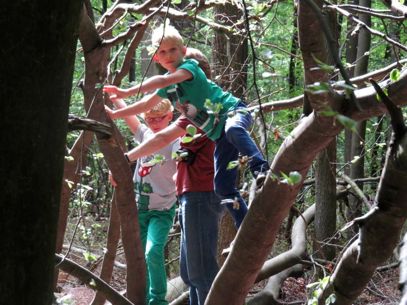 Maar ook gewoon klimmen in de bomen