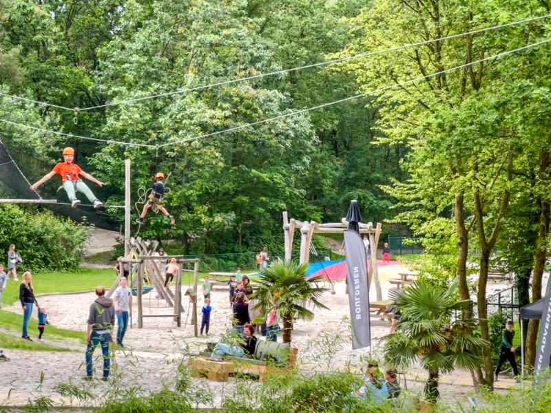 Klimrijk ligt in een klein bos, tussen mooie hoge bomen.