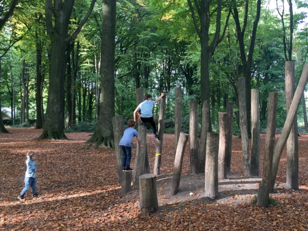 Spelen in het Kluisbos in de Vlaamse Ardennen