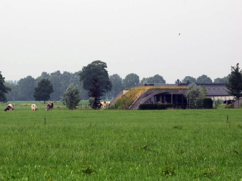 Hoe leuk is dat, een koe in je achtertuin….