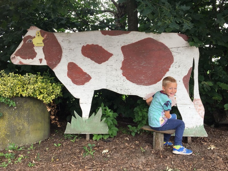 Koeien melken? Eerst even oefenen…