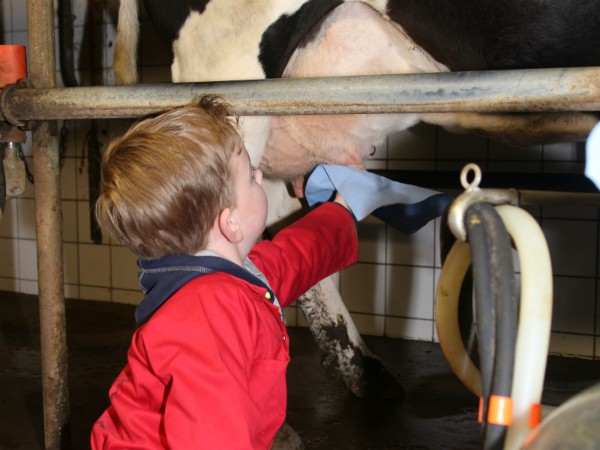 Je eigen koe moet ook gemolken worden...