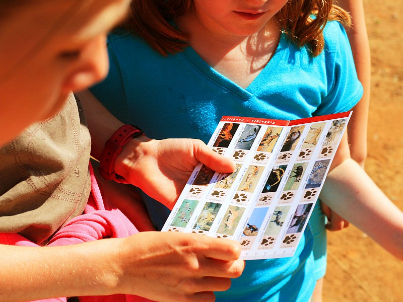 De kinderen krijgen een speurkaart mee tijdens de kids safari