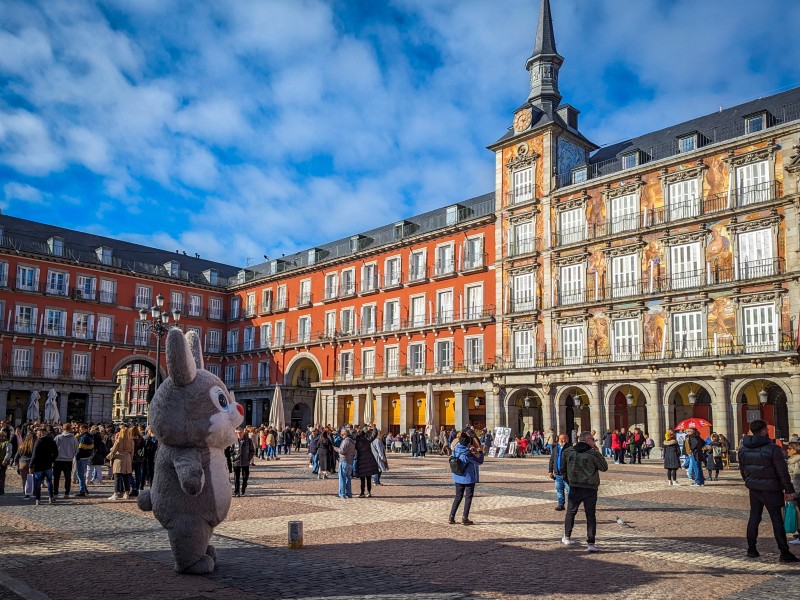 Een konijn om mee te knuffelen op Plaza Mayor