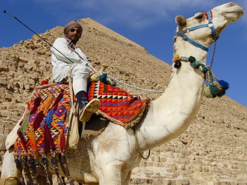 man op kameel bij piramide