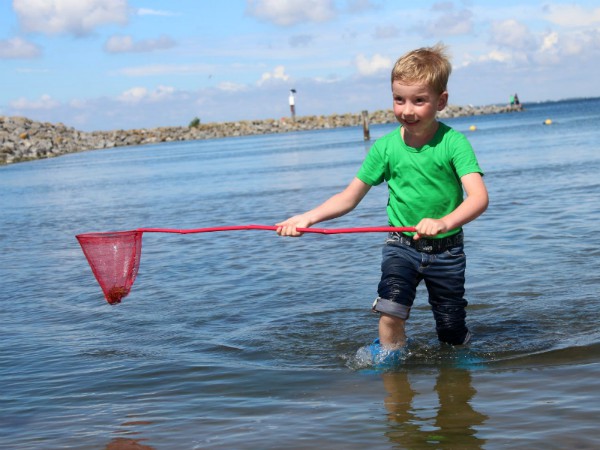 Krabbetjes vangen in de Zeeuwse wateren