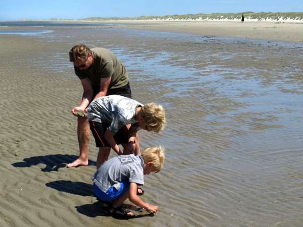 Heremietkreeftjes vangen op het strand