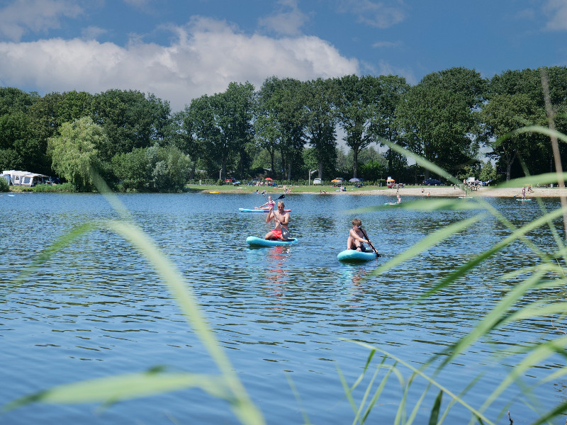 Kinderen op boomstam of touwbrug over water bij vakantiepark Sallandshoeve