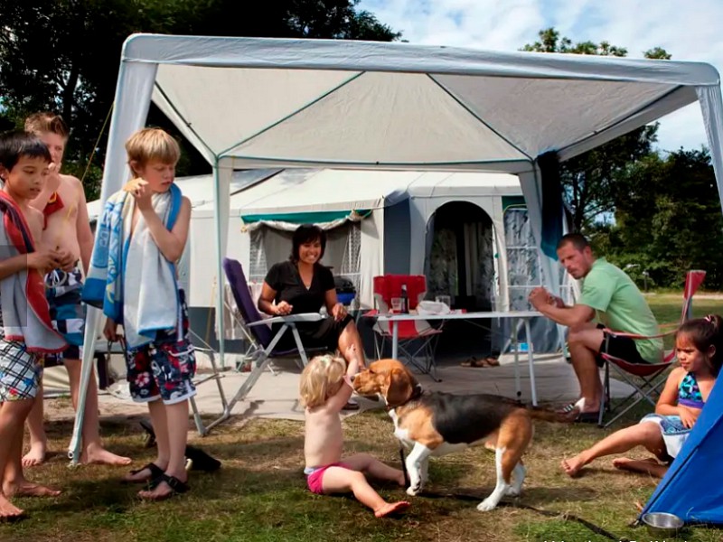 Honden welkom op kampeerplaats rood