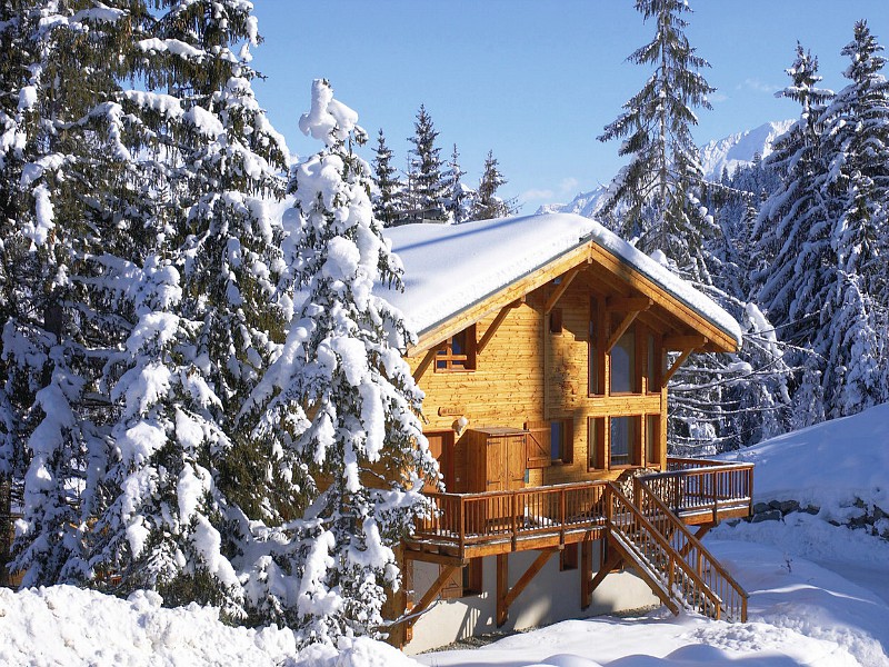 Chalet Dame Blanche in La Tania