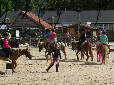 De leuke Ponyranch van Het Land van Bartje