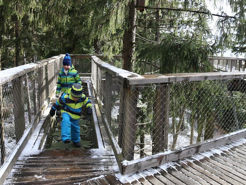 De kinderen van CIndy wandelen over het Boomkroonpad in de buurt van Landal Marina Lipno in Tjsechië
