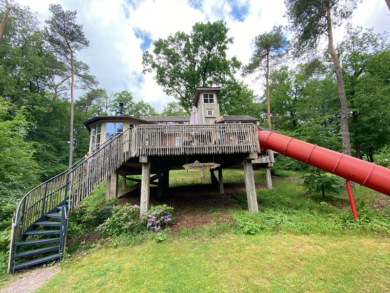 De droomboom bij Landal Miggelenberg.