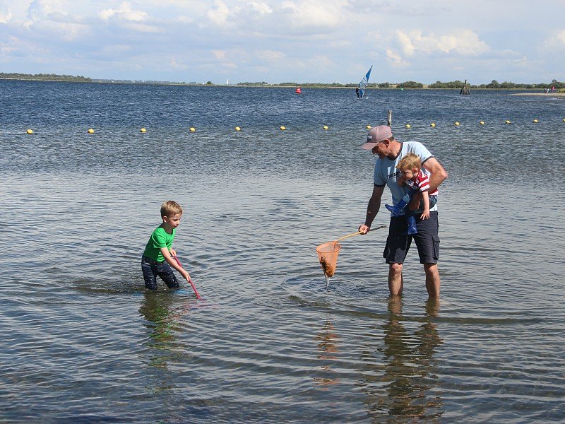 Visjes vangen in zee