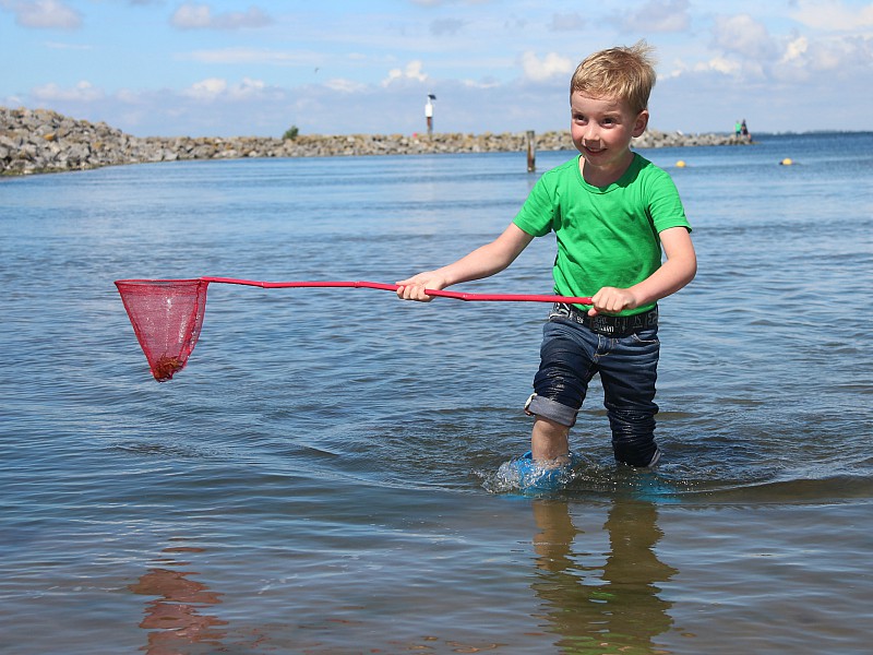 Krabbetjes vangen in het Grevelingenmeer is superleuk voor de kids!