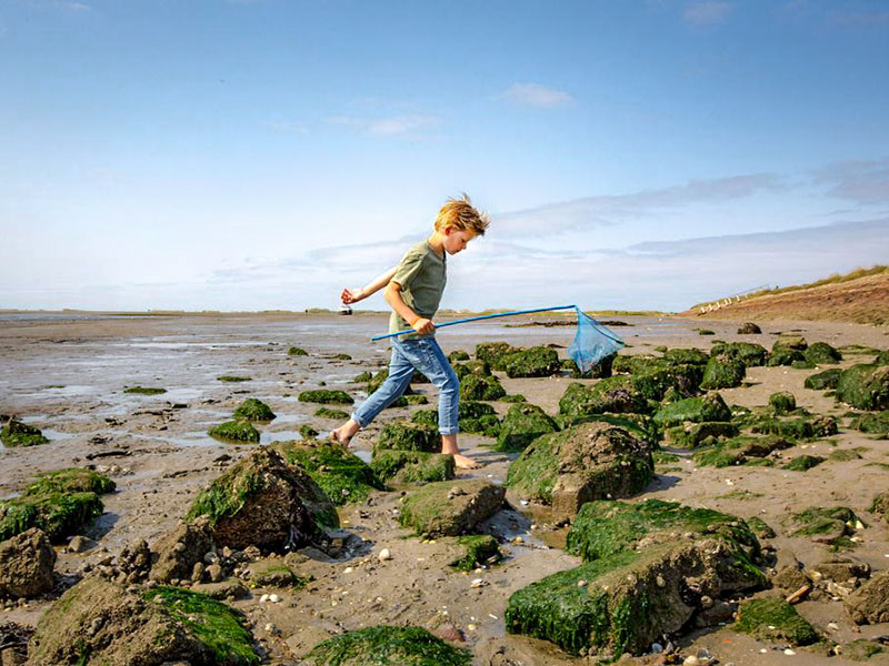 Kinderen gaan op avontuur met het animatieteam van Landal Wedderplassen