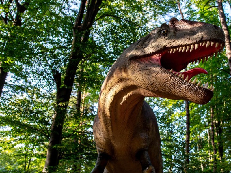 Dinosaurus op het nabijgelegen Landgoed Tenaxx in Groningen