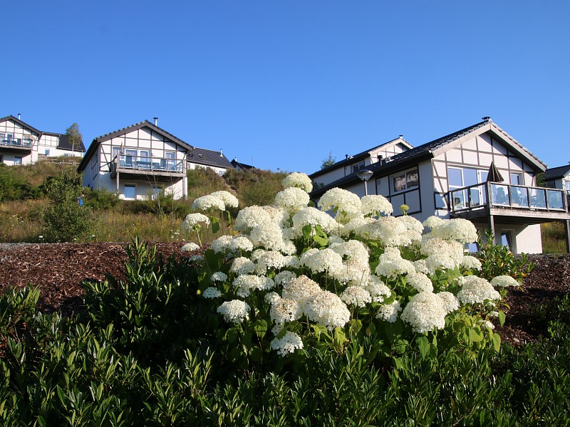 De chalets van Landal Winterberg