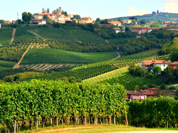 Het prachtige heuvellandschap van Piemonte