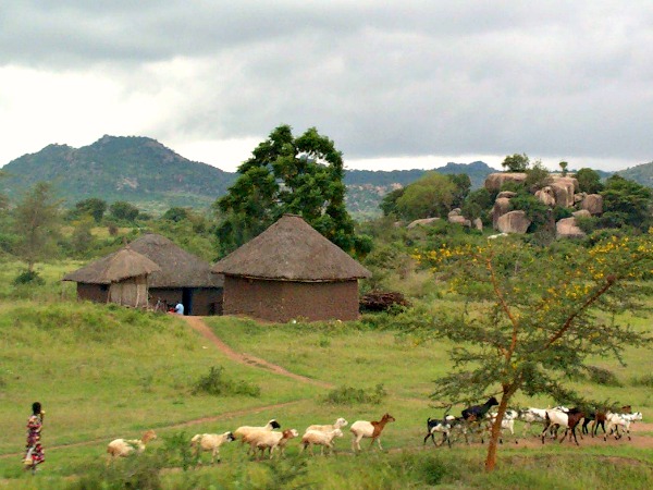 Het prachtige landschap van Tanzania