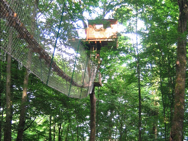Klimmen naar en slapen in een Boomhut!