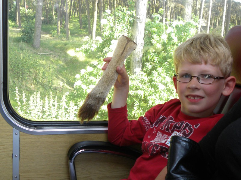 Zeb met de leeuwenstaart