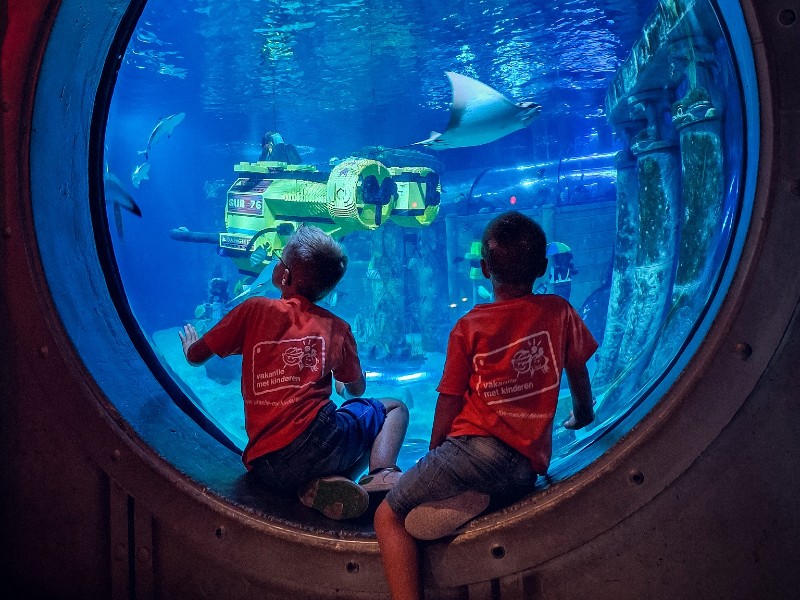 Atlantis by SEA LIFE™, prachtig gemaakt!