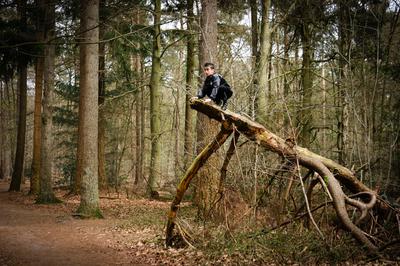 Wat is er nou leuker dan lekker boompje klimmen? Wat is er nou leuker dan lekker boompje klimmen?