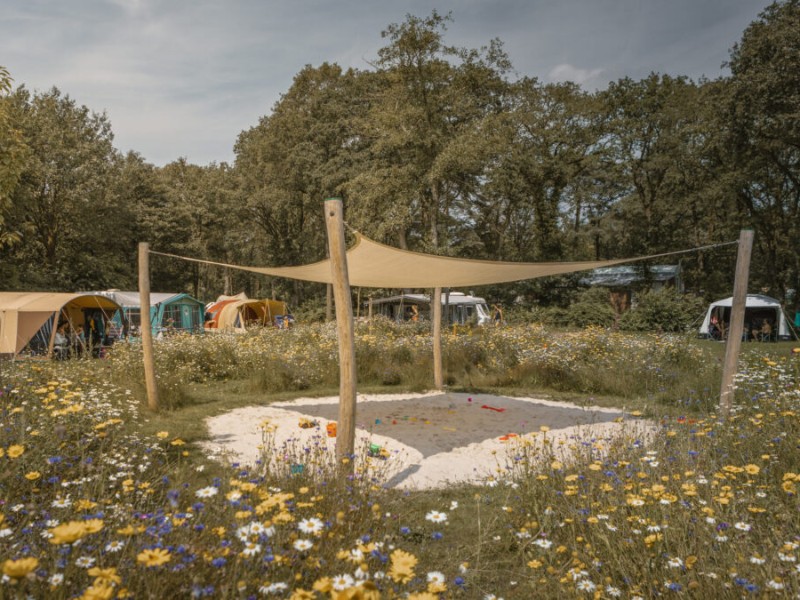 Zandbak bij de bloemenweide