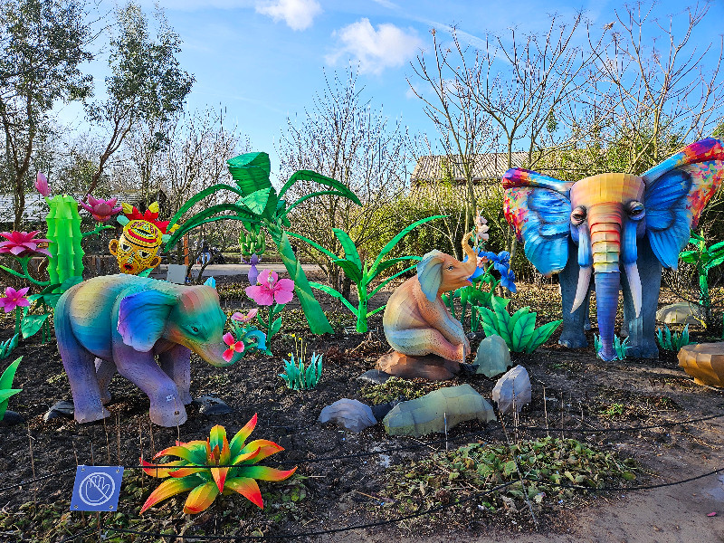 De olifanten bij daglicht