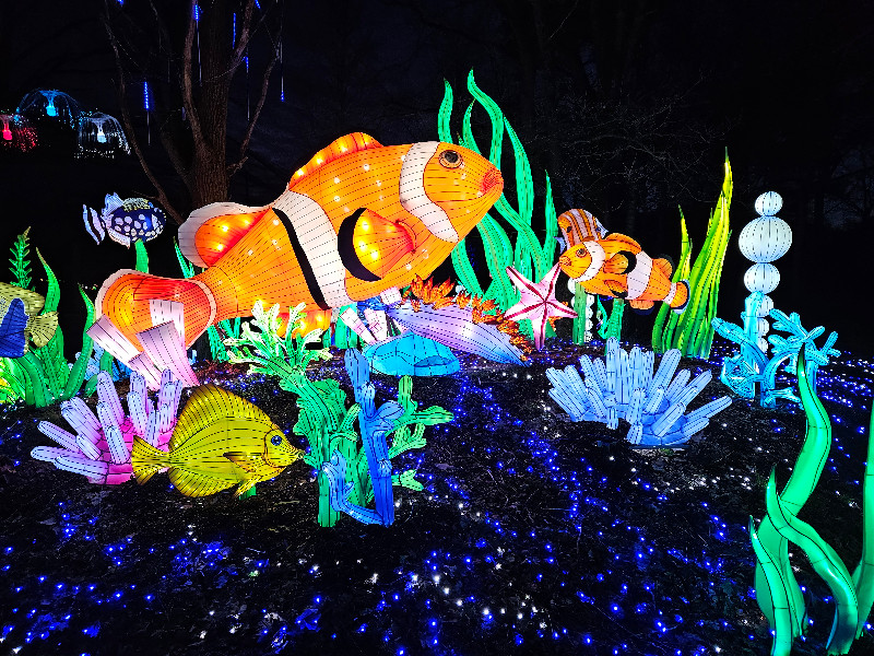 Bij de Light Safari ga je ook vissen spotten