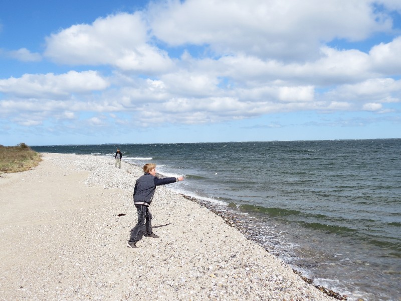 Steentjes keilen op het strand