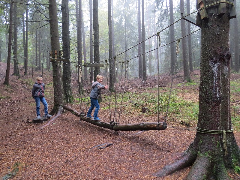 Spelen in het bos in de herfst