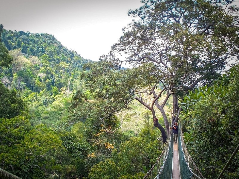 hangbrug en uitzicht