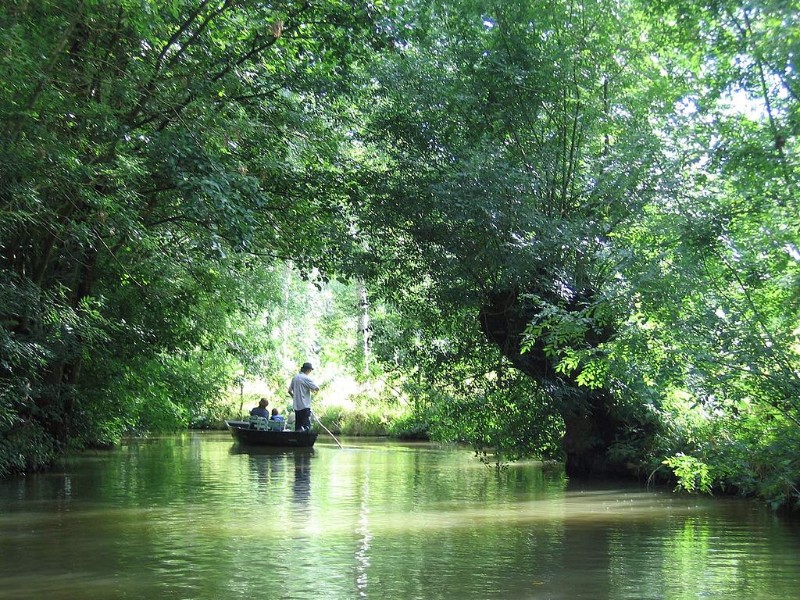 Varen in het Groene Venetië van de Marais Poitevin
