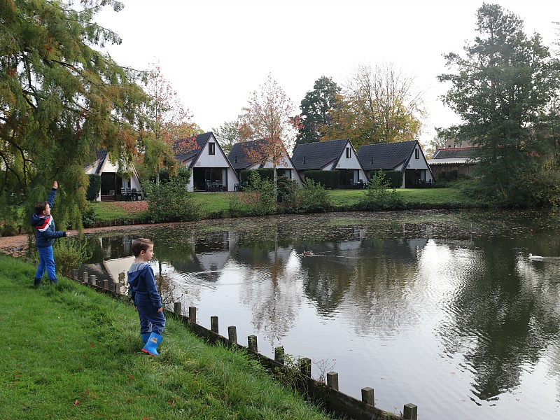 Eendjes voeren bij de A-huisjes bij de visvijver.