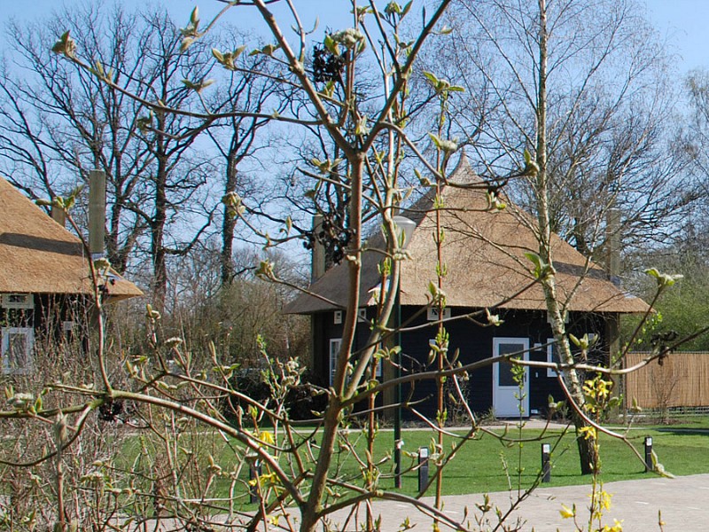 Slapen in een sfeervolle hooiberg